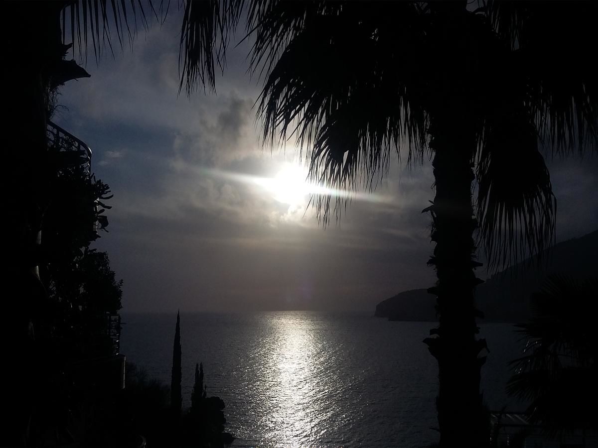 Апартаменты Apartment Marina Centar Будва-25