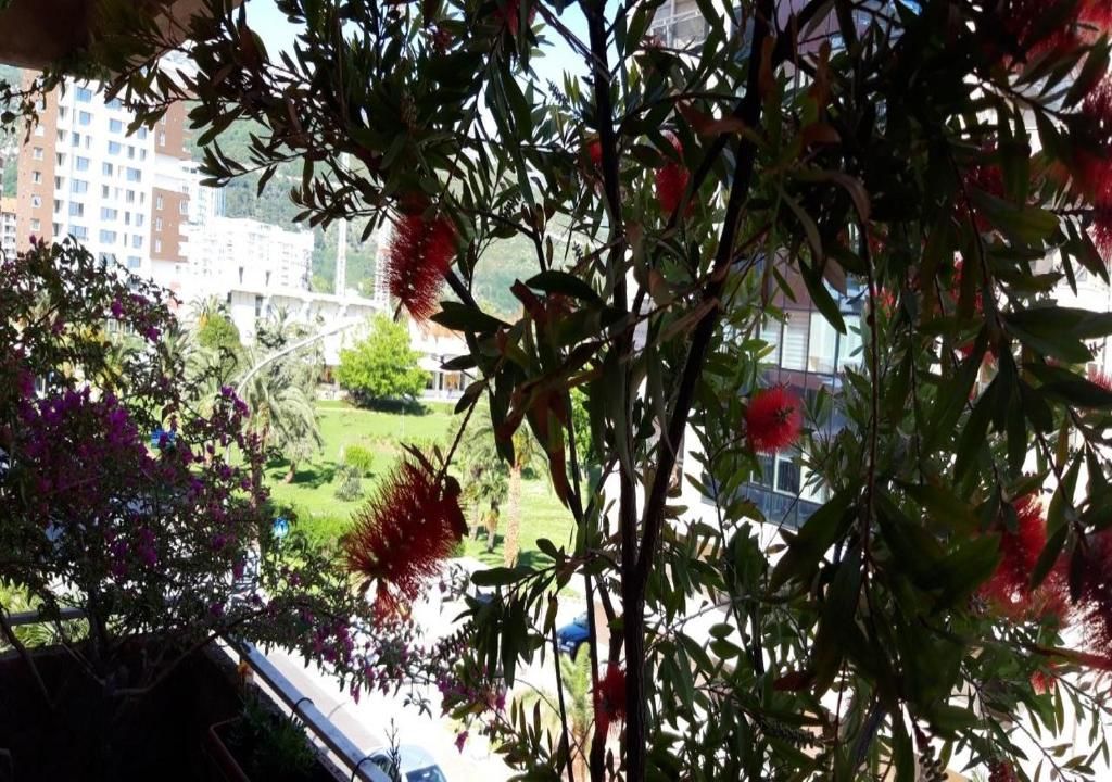 Апартаменты Apartment Marina Centar Будва-55