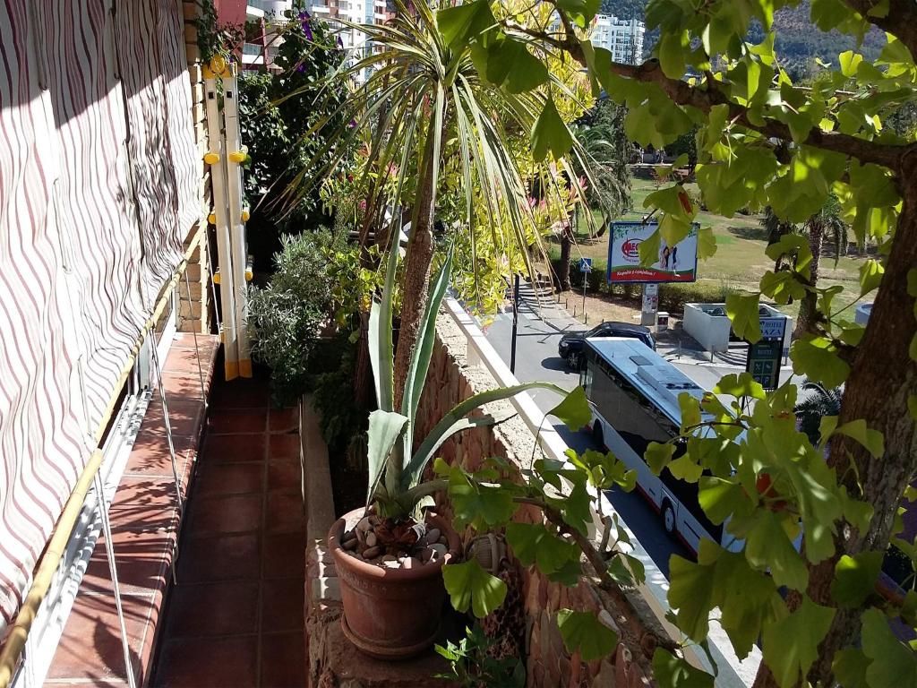 Апартаменты Apartment Marina Centar Будва-97