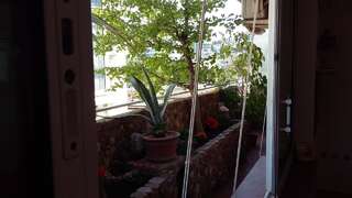 Апартаменты Apartment Marina Centar Будва Апартаменты с 2 спальнями-33