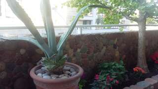 Апартаменты Apartment Marina Centar Будва Апартаменты с 2 спальнями-37