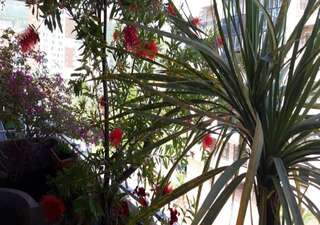 Апартаменты Apartment Marina Centar Будва Апартаменты с 2 спальнями-49