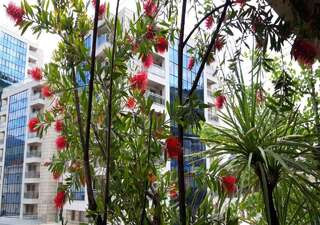 Апартаменты Apartment Marina Centar Будва Апартаменты с 2 спальнями-6