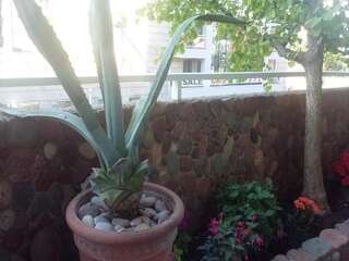 Апартаменты Apartment Marina Centar Будва Апартаменты с 2 спальнями-67